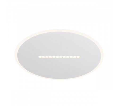 Потолочный светильник Freya Shine FR6105CL-L73W