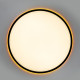 Потолочный светильник Citilux Norma LED RGB CL749501