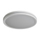 Потолочный светильник Freya Rua FR6160CL-L40W