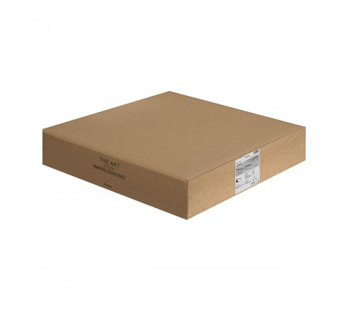 Потолочный светильник Freya Frame FR6084CL-L68B