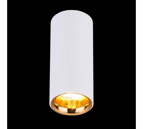 Потолочный светодиодный светильник Elektrostandard DLR030 12W 4200K белый матовый 4690389122026