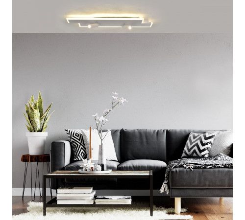 Потолочный светильник Escada 20047led 20047SMA/02LED WH Потолочный светильник Escada 20047led 20047SMA/02LED WH
