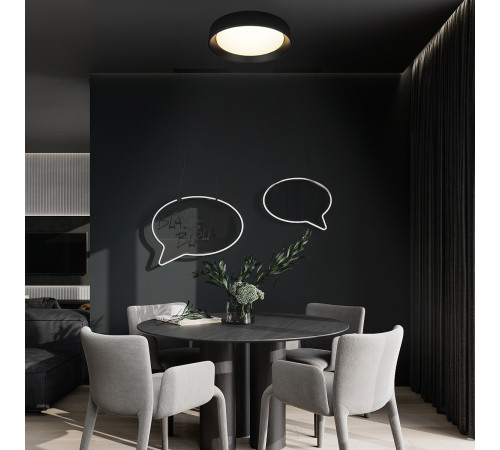 Потолочный светильник Loft IT Coin 10202 BB