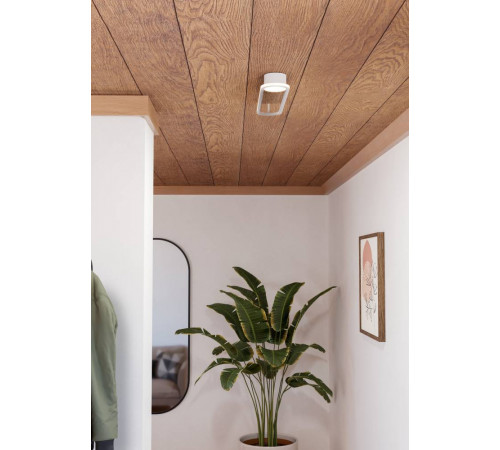 Потолочный светильник Eglo Collecorvino 902152