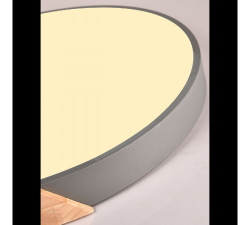 Потолочный светильник Natali Kovaltseva Scandinavian LED LAMPS 81183 Потолочный светильник Natali Kovaltseva Scandinavian LED LAMPS 81183