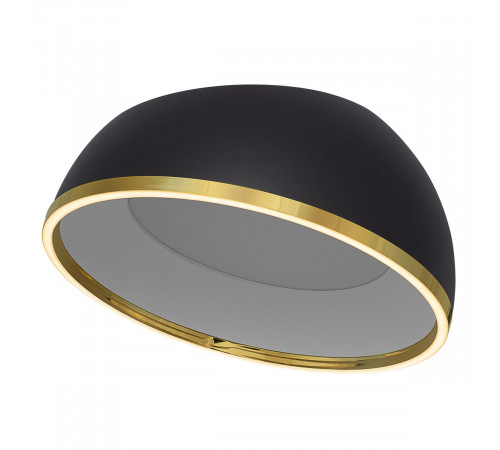 Потолочный светильник Citilux Floom CL736151