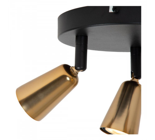 Потолочный светильник Lucide Tiana 65901/13/05