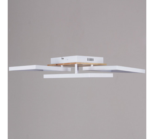 Потолочный светильник Reluce 49560-0.3-03 WH+WOOD
