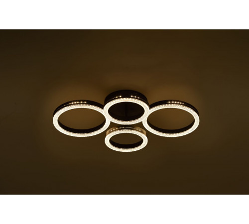 Потолочный светильник Rivoli Flora 6191-201