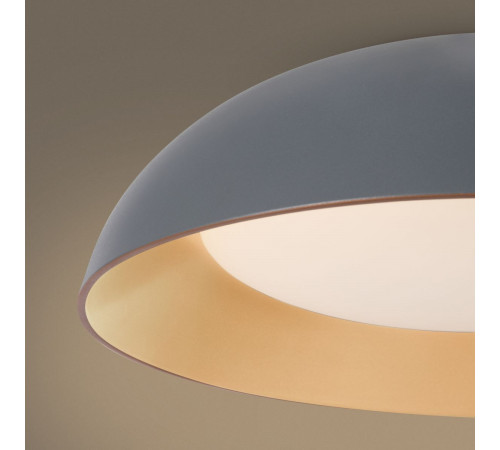 Потолочный светильник Freya Moonlight FR5277CL-L72GR