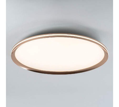 Потолочный светильник LED4U L3020-600 GD