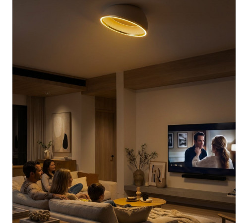 Потолочный светильник Citilux Floom CL736152