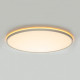 Потолочный светильник Citilux Norma LED RGB CL749600