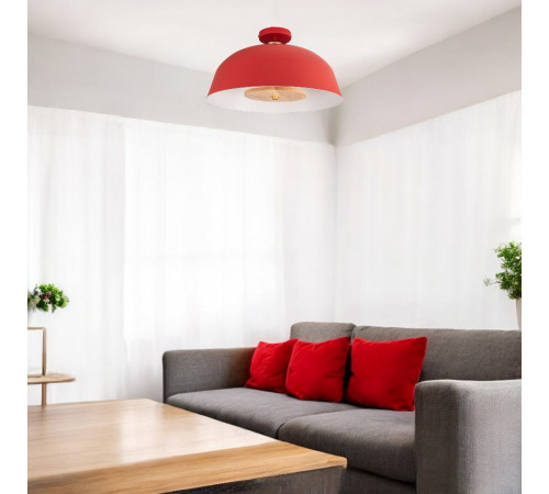 Потолочный светильник ImperiumLoft Globemi 307159-26