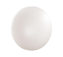 Потолочный светильник Sonex Pale Simple 3017/CLN