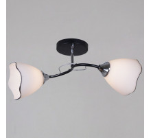 Потолочный светильник Reluce 79360-0.3-02 BK+CR