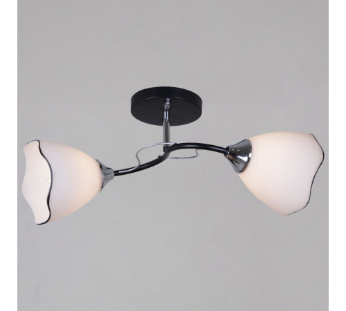 Потолочный светильник Reluce 79360-0.3-02 BK+CR