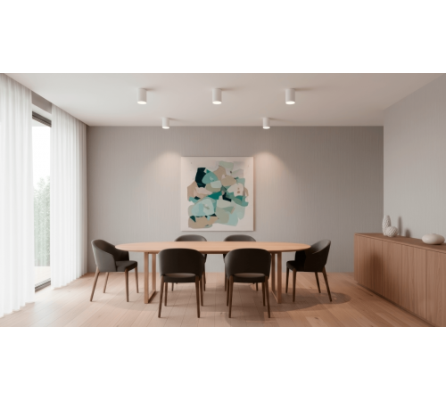 Потолочный светильник Crystal Lux CLT 084C WH