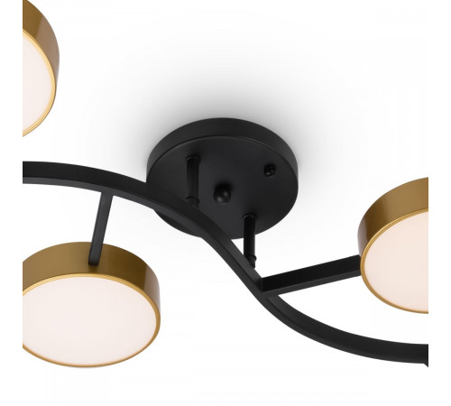 Потолочный светильник Freya Tibo FR6048CL-L10GB