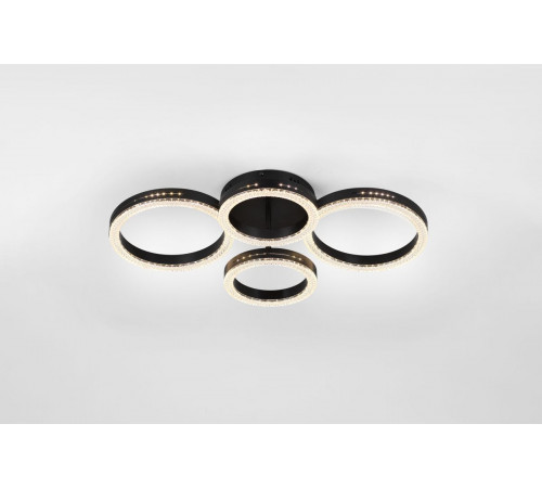 Потолочный светильник Rivoli Flora 6191-201