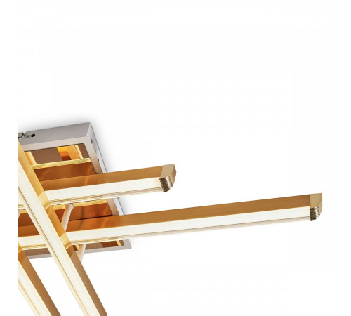 Потолочный светильник Freya Twiks FR6198CL-L88G