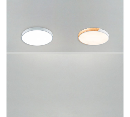 Потолочный светильник Freya Sprida FR6129CL-L80GR
