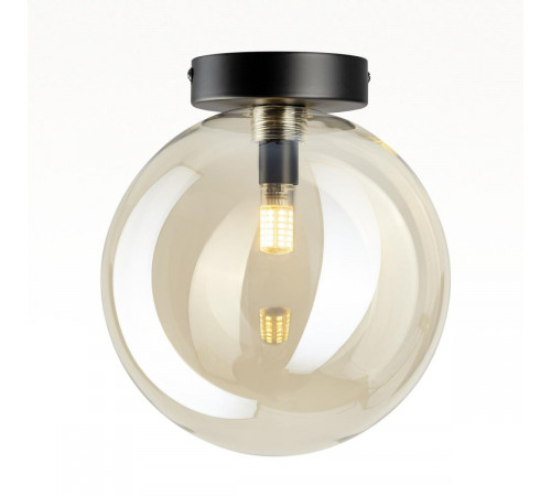 Потолочный светильник Citilux Orton CL202512 Потолочный светильник Citilux Orton CL202512
