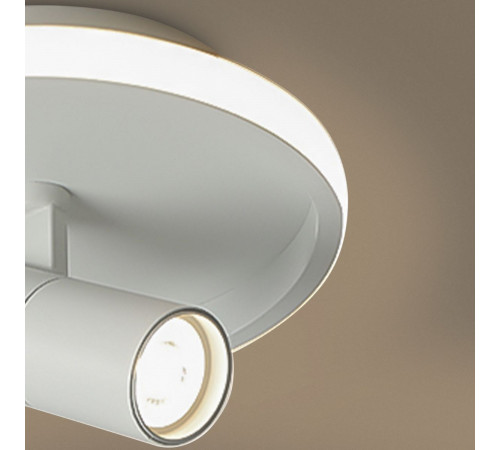 Потолочный светильник Freya Neo FR6040CL-L14W
