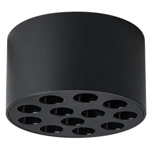 Потолочный светильник Lightstar Guarda 080947