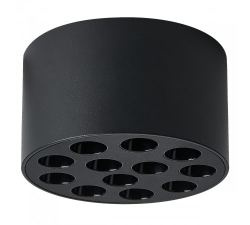 Потолочный светильник Lightstar Guarda 080947