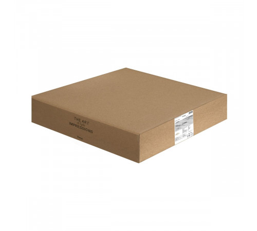 Потолочный светильник Freya Cubba FR5450CL-L120BG