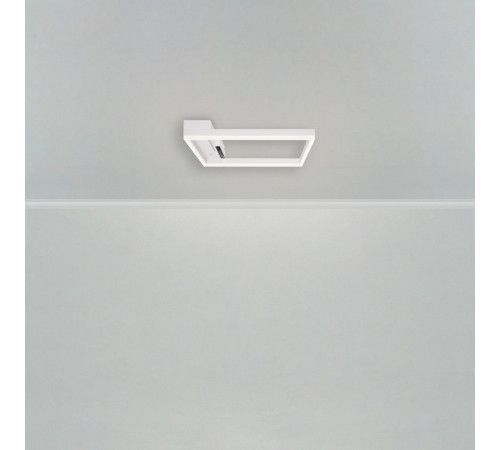 Потолочный светильник Freya Frame FR6084CL-L82W
