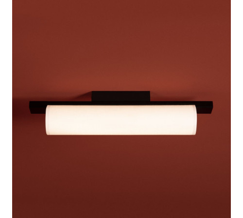 Потолочный светильник Freya Even FR5625CL-L20B