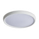 Потолочный светильник Freya Obelle FR6211CL-L24W