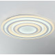 Потолочный светодиодный светильник F-Promo Ledolution 2271-8C