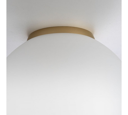 Потолочный светильник Citilux Ron CL941D20B2