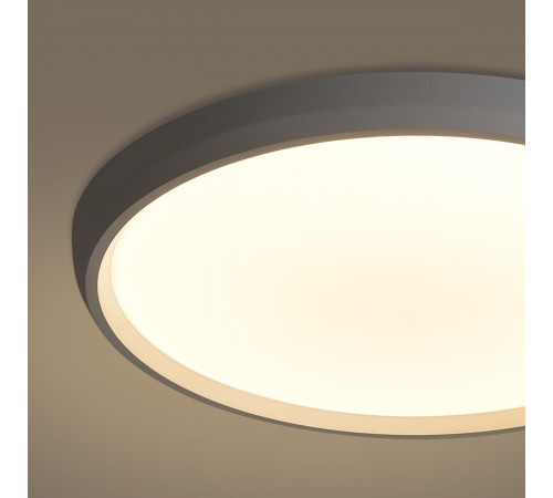 Потолочный светильник Freya Obelle FR6211CL-L24W