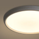 Потолочный светильник Freya Obelle FR6211CL-L24W