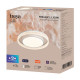 Потолочный светильник Freya Galla FR6243CL-L109W
