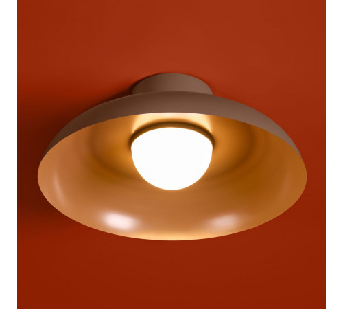 Потолочный светильник Freya Movement FR5602CL-L10BR