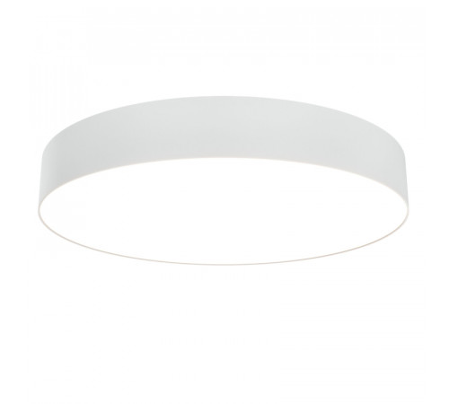 Потолочный светильник Maytoni Technical Zon C032CL-L48W3K