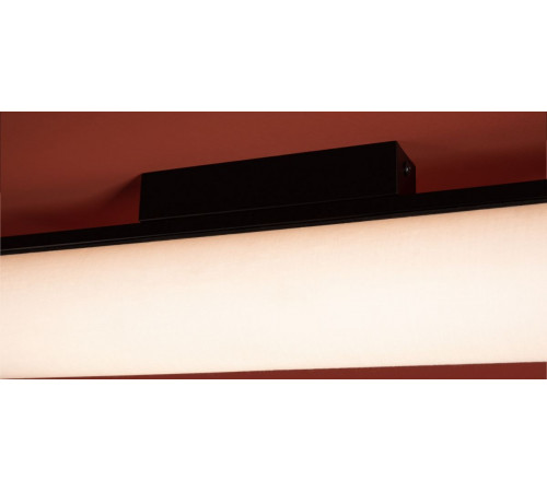 Потолочный светильник Freya Even FR5625CL-L20B