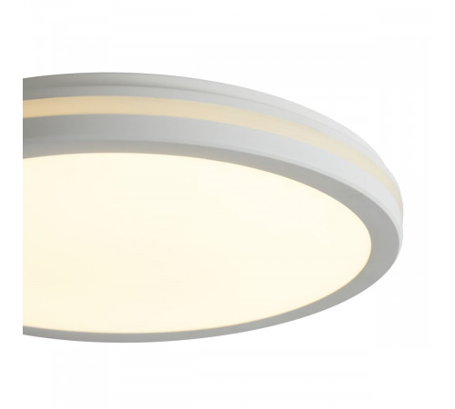Потолочный светильник Freya Rua FR6160CL-L40W