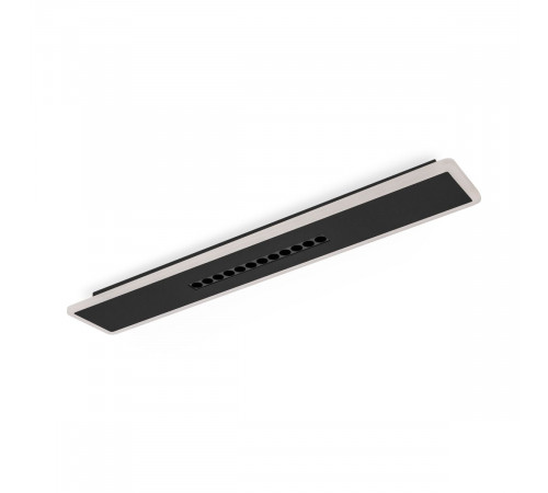 Потолочный светильник Freya Shine FR6105CL-L40B