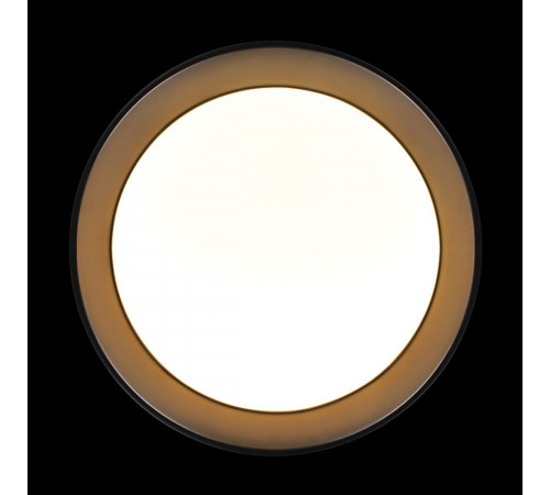 Потолочный светильник Loft IT Coin 10202 BB