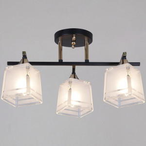 Потолочный светильник Reluce 46460-0.3-03 BK+FG