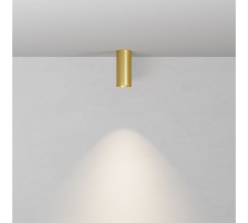 Потолочный светильник Maytoni Technical Focus C010CL-01MG-N