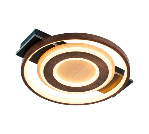 Потолочный светильник F-Promo Labrea 4699-1C