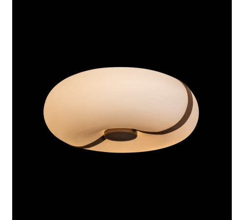 Потолочный светильник LOFT IT Bolina 10473