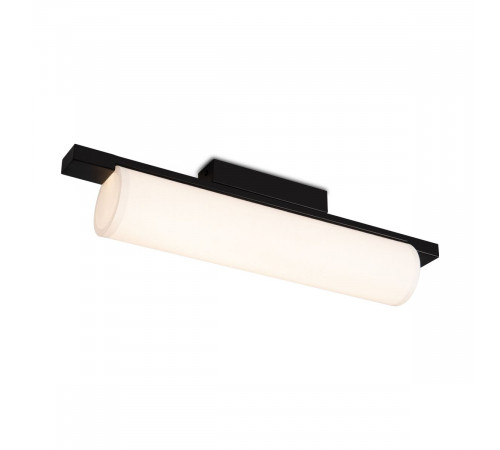 Потолочный светильник Freya Even FR5625CL-L20B